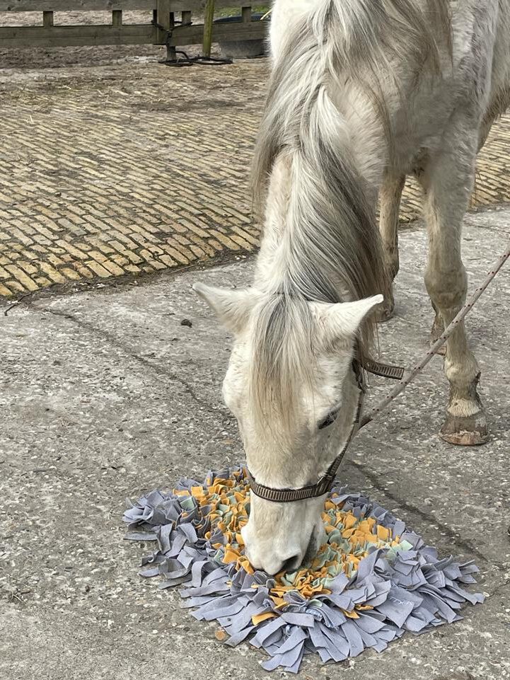 Tulio ons voorbeeld in deze trainingscasus.